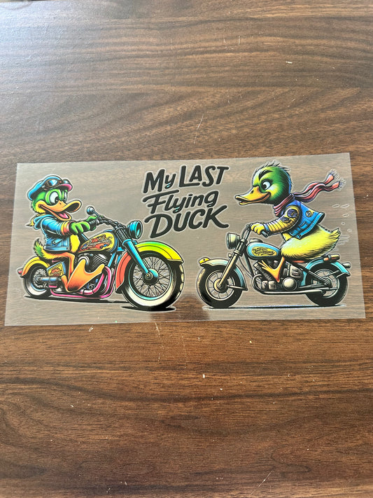 My last flying duck