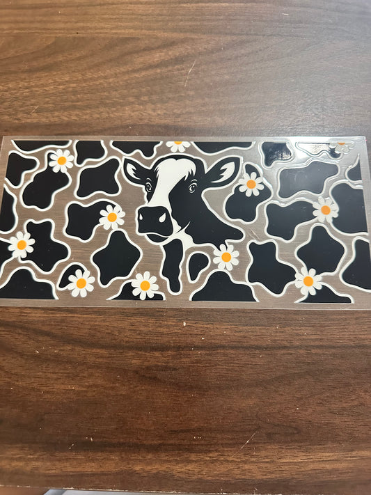 Cow and daisies