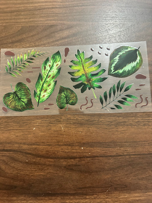 Rainforest leaves