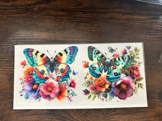 butterfly