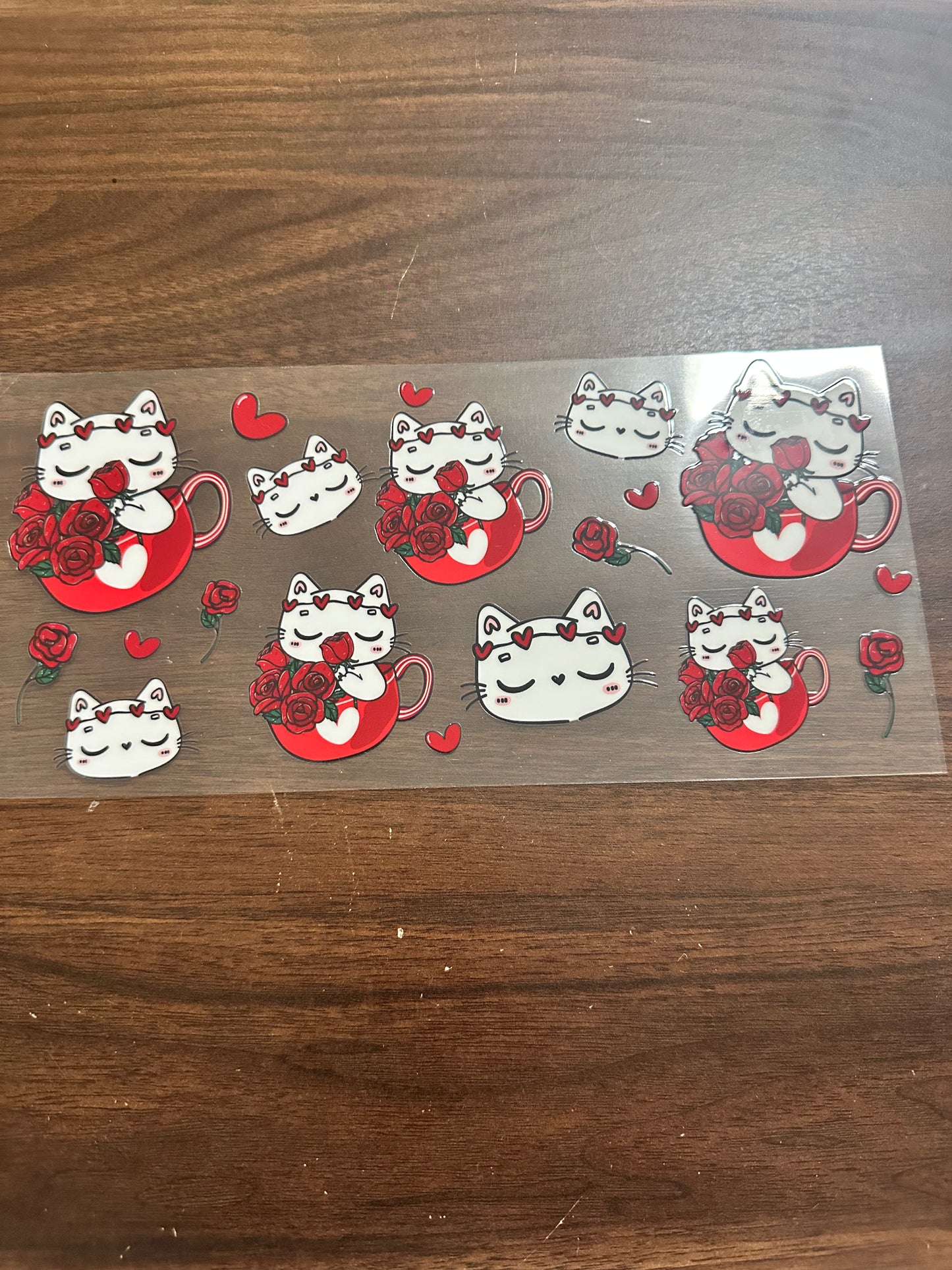 Cats cup