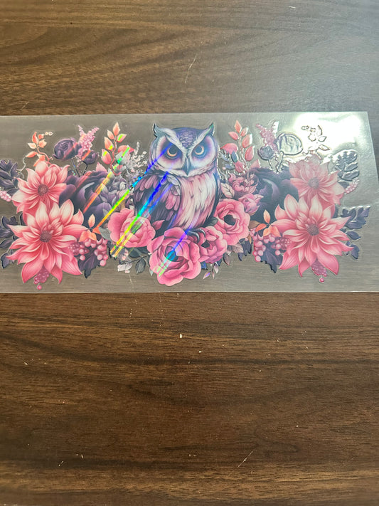 Holographic owl